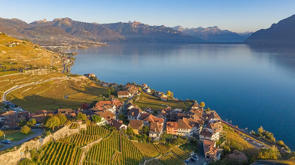 Les vignobles en terrasses de Lavaux, dans le canton de Vaud.